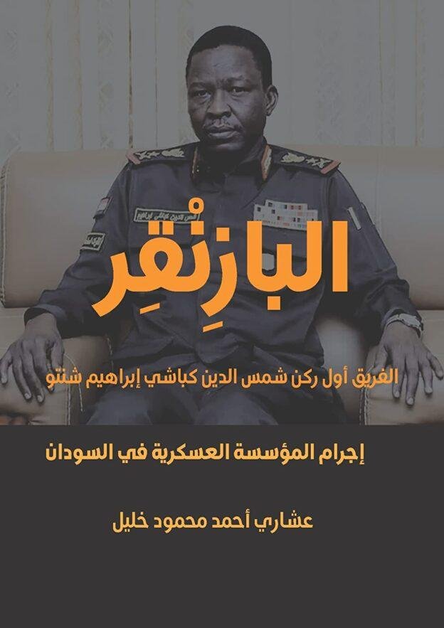 عشاري احمد محمود خليل، عبقرية متوهمة لنخاس صغير (3)