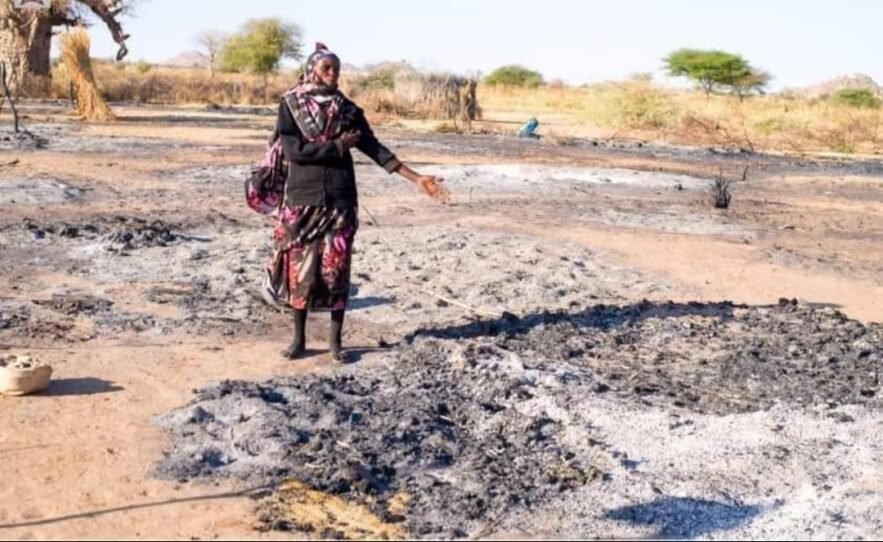 عن أي (صلح) يتحدثون والقاتل طرف واحد وهارب ؟