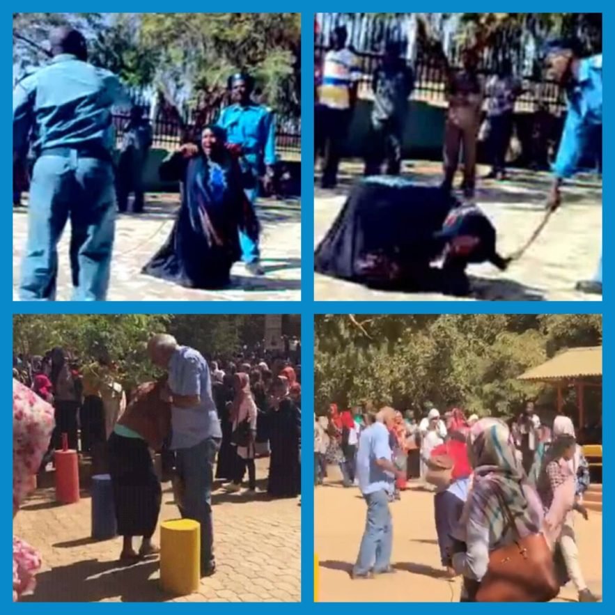 ما بين (قدقدو) و (حفيد ال بدري ) وازدواجية المعايير لدي ذيول “النخب” العشائرية في المركز – (3)