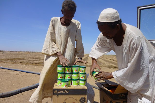 الأمم المتحدة تحذر: 6 ملايين نسمة سيواجهون أزمة غذائية طارئة في الفترة من مايو الجاري إلى يوليو المقبل