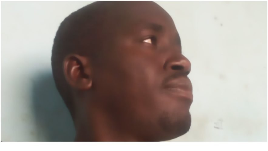 جورج أورويل ورواية مزرعة الحيوان: حب الدين حسين (حبو ارسطو )