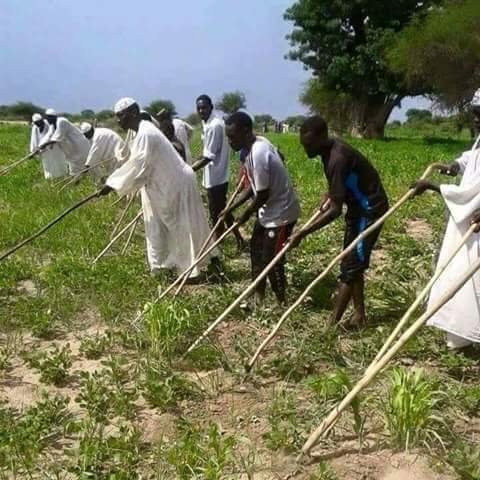 صورة ارشيفية