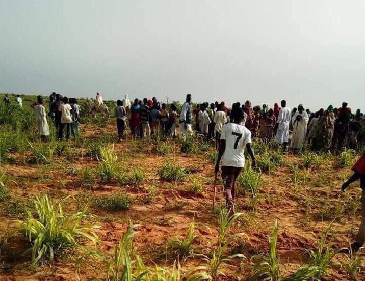 مقتل مزارع برصاص مجهولين في جنوب كردفان المزرعة التي تم فيها الهجوم علي المزارعين مخلفين عدد من القتلي والجرحى