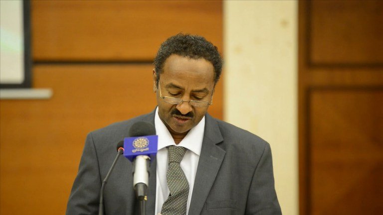 المراجع العام لجمهورية السودان، عبدالقيوم الطاهر