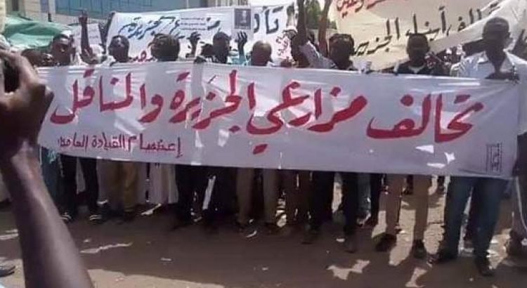 تحالف مزارعي الجزيرة