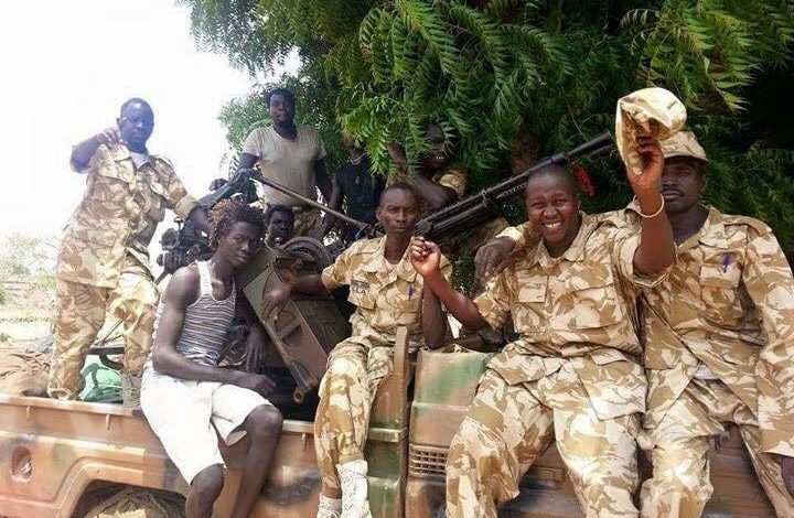 جيش تحرير السودان يتوعد بالرد الصاعق على الدعم السريع مقاتلين من حركة تحرير السودان