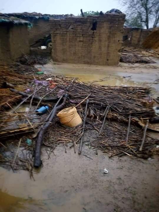 منسقية النازحين : الفيضانات أحدثت أوضاعا إنسانية سيئة للغاية بدارفور