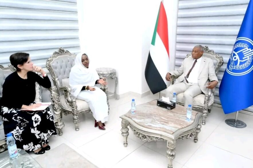 وزير الداخلية يلتقي مقررة الأمم المتحدة لحقوق المرأة ويبحث آليات حماية المدنيين