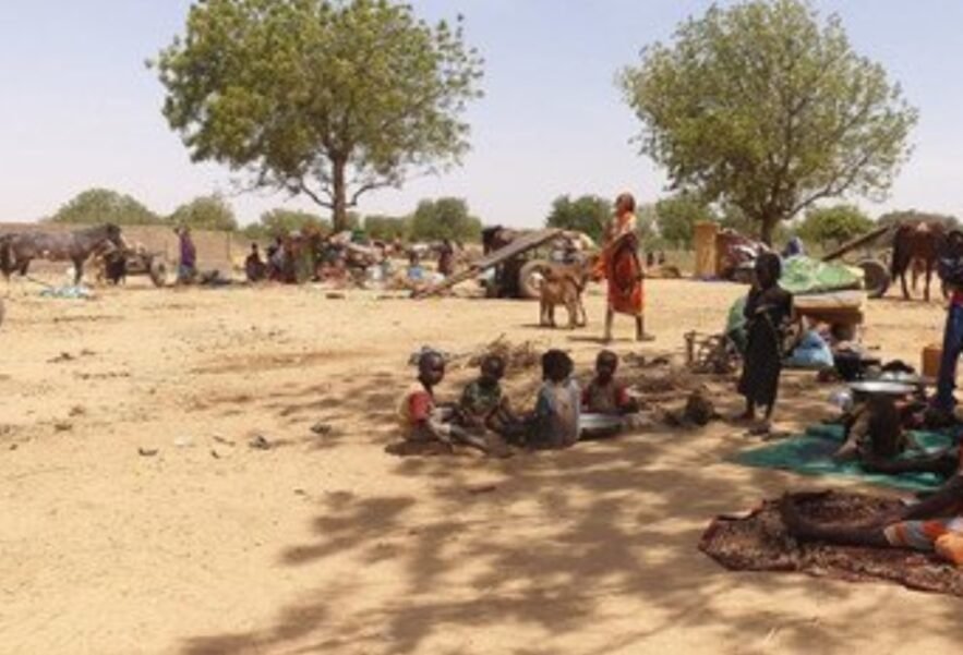 لاجئو الفاشر في العراء : شتاء قاسٍ واستجابة دولية غائبة