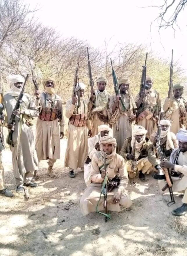 المقاومة الشعبية بدارفور تعلن إحباط هجوم ”الدعم السريع“ على الطينة