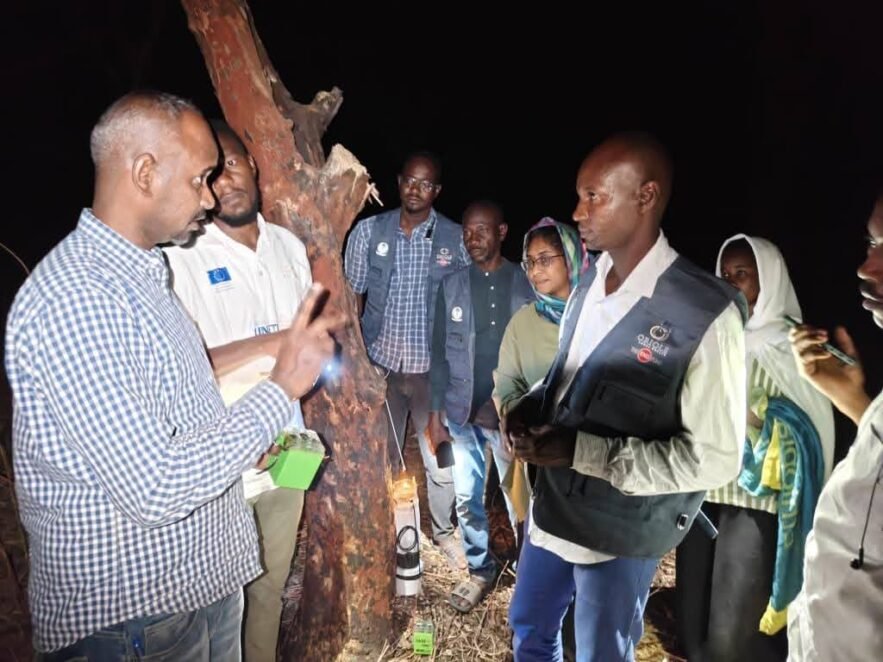 الصحة تعلن انطلاق المسح الجغرافي لمرض ”الكلازار“ في تسع ولايات