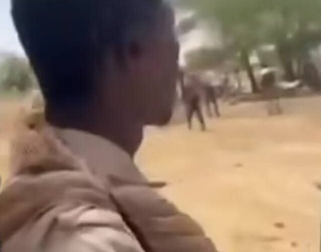 موسى هلال يدعو لوقف اقتتال السلامات والبني هلبة بدارفور
