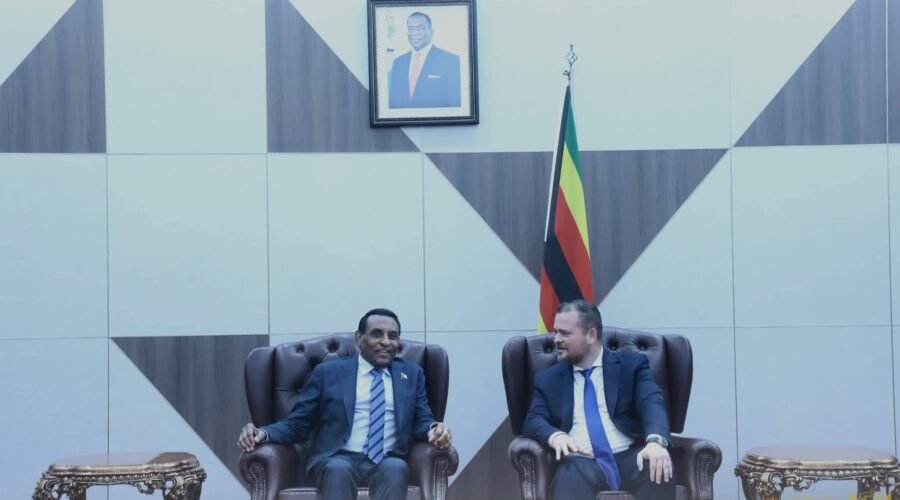 قمة الكوميسا تبحث إزالة الحواجز التجارية وتعزيز الاستثمار والتصنيع