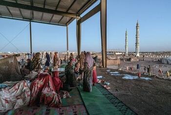 الأمم المتحدة تدين مقتل مدنيين في بالسودان وتحذر من تفاقم الأزمة الإنسانية
